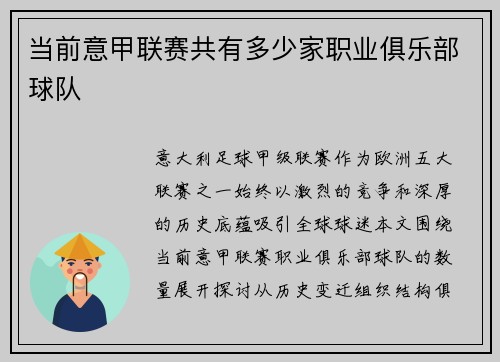 当前意甲联赛共有多少家职业俱乐部球队